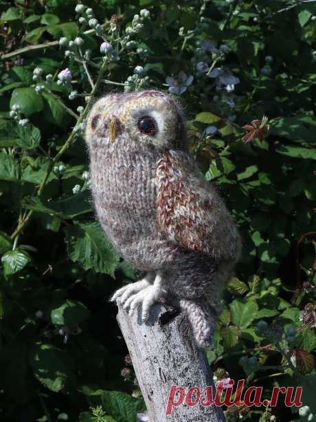 Вязаная спицами сова Tawny Owl - Вяжи.ру
