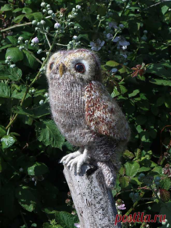 Вязаная спицами сова Tawny Owl - Вяжи.ру