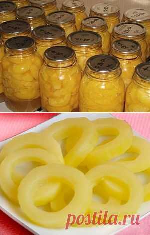 "АНАНАСЫ из КАБАЧКОВ"