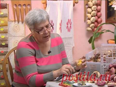 Советы тети Тани. Борьба с трипсами.