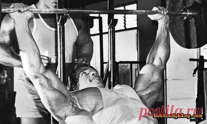 Грудь Арнольда. Рецепт создания | bestbodyblog.com