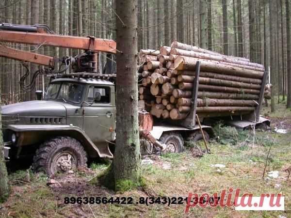 Аренда спец техники в Екатеринбурге.
https://vk.com/public72761264
Сайт компании; http://special-service.info/