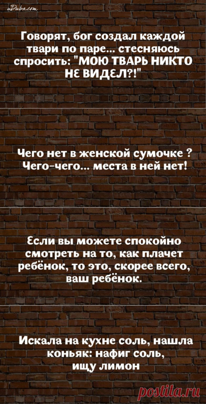 18 высказываний от мудрых женщин с юмором