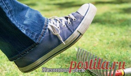 Одно в этом мире земном замечательно,
что всё в нём изменчиво...
Не окончательно...
Л. Миллер