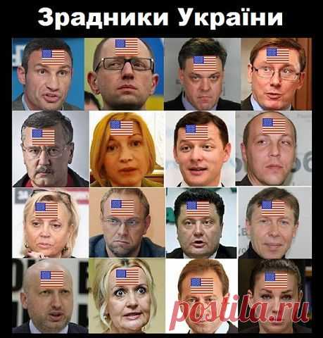 Мусульманский священник выдал все как есть! | Ваше мнение