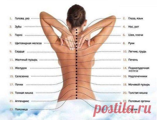 карта вашего тела на позвоночном столбе