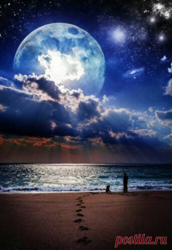 the wolf within : Photo