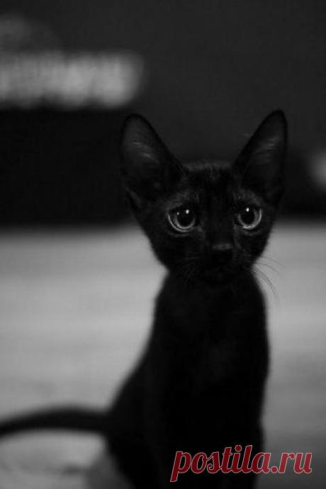 Вдохновение. / Рукоделие