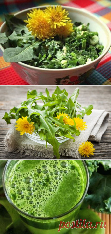 Рецепты из сорняков от профессора Татьяны Киселёвой
