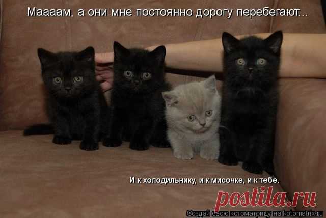 (8) Одноклассники