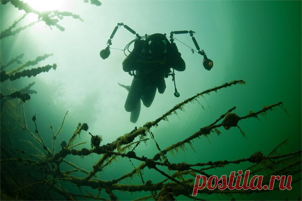 12 июля принято считать Днем фотографа. В этот день в 1854 году родился Джордж Истмен - основатель компании Kodak, сделавший фотографию доступной всем. Поздравляем всех фотографов нашей группы и желаем нужной погоды и малых шумов на фото.