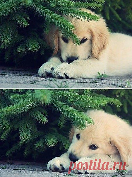 Мой Мир@Mail.Ru