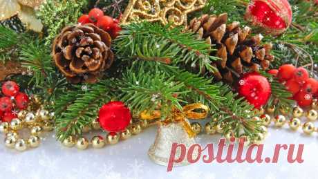 topoboi.com-6155.jpg (1920×1080)