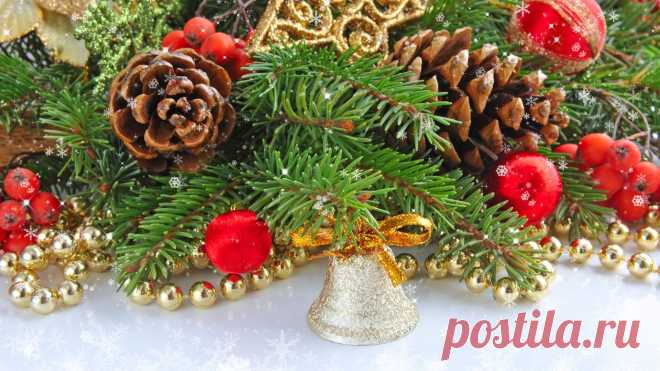 topoboi.com-6155.jpg (1920×1080)