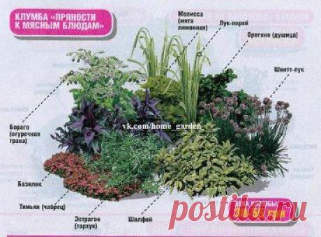 Клумбы для гурманов и чаеманов!




•••в продолжении ещё фото