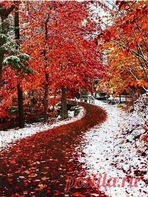 тропинка в зиму...