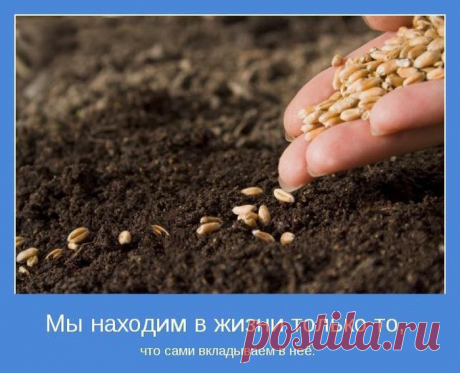 Главная причина по которой Вам по пути со ЗДОРОВЫМ БИЗНЕСОМ, это Ваше финансовое благополучие.
       Поэтому, учитывая постоянное повышение цен , вы уже рассматриваете возможности дополнительного дохода?.....  Вы ещё всё чувствуете себя ,, чайником,, при работе на компьютере?!..... Постучитесь к нам в ЗДОРОВЫЙ БИЗНЕС и Вас научат быть успешным и здоровым, осилить компьютер и научиться наконец то -зарабатывать! Приглашаю Вас сделать это вместе!    lybov.demidov   мой скайп.