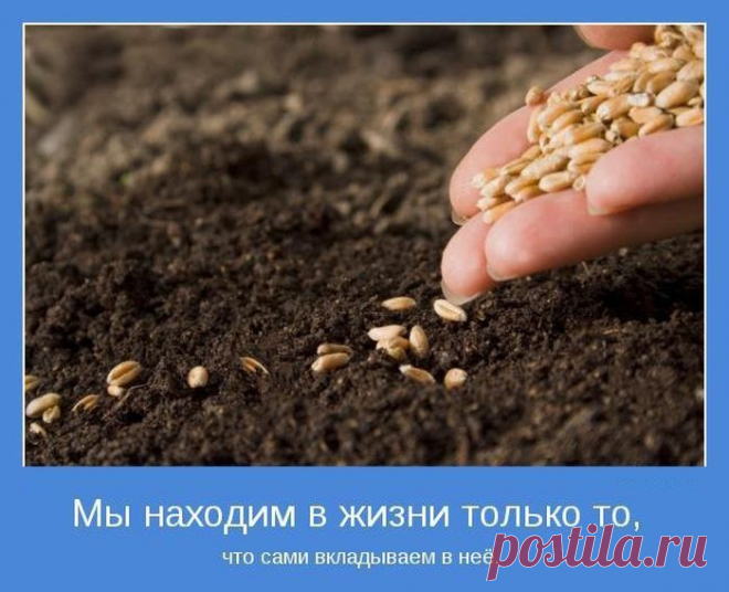 Главная причина по которой Вам по пути со ЗДОРОВЫМ БИЗНЕСОМ, это Ваше финансовое благополучие.
       Поэтому, учитывая постоянное повышение цен , вы уже рассматриваете возможности дополнительного дохода?.....  Вы ещё всё чувствуете себя ,, чайником,, при работе на компьютере?!..... Постучитесь к нам в ЗДОРОВЫЙ БИЗНЕС и Вас научат быть успешным и здоровым, осилить компьютер и научиться наконец то -зарабатывать! Приглашаю Вас сделать это вместе!    lybov.demidov   мой скайп.