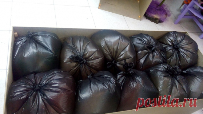 Гигантские цветы (фоамиран, изолон). МК