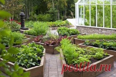 8 огородных секретов 

1. Йод для капусты

В ведро воды добавить 40 капель йода.
Когда начнет формироваться кочан, поливать капусту под растение по 1 литру.

2. Ускорение пророста

Чтобы семена быстрее проросли их замачивают в растворе
перекиси водорода (4%)на 12 часов (капуста),
а семена помидоров и свеклы - на 24 часа.
Для обеззараживания семян (вместо марганцовки)
их обрабатывают 10% перекисью
водорода 20 минут.
Соотношение раствора и семян 1:1.
Затем семена промывают и...