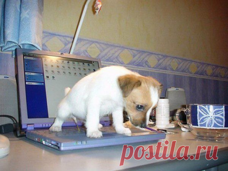 Я не злопамятный.У меня просто память хорошая.