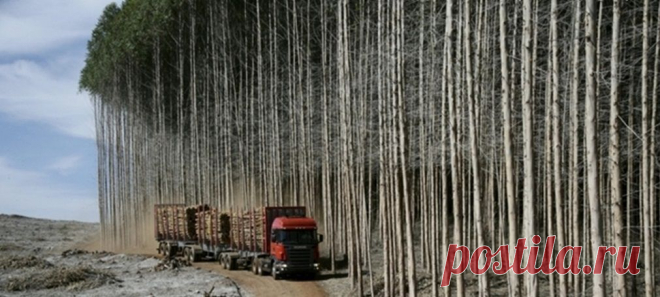 Работа для Лесовозов и Хлыстовозов 
работа по вывозки леса 50.000 куб заготовлено.
пос Андра (Приобье)- Нягань 
Плечо; 100-200 км.
Переправа через реку по зимнику.
потребность 5 хлыстовозов.лесовозов.
Запрс ставки за куб перевозки.
http://special-service.info/
frizen196910@mail.ru
89045471839.89638564422.