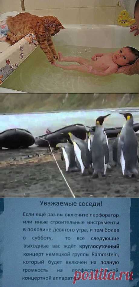 )))