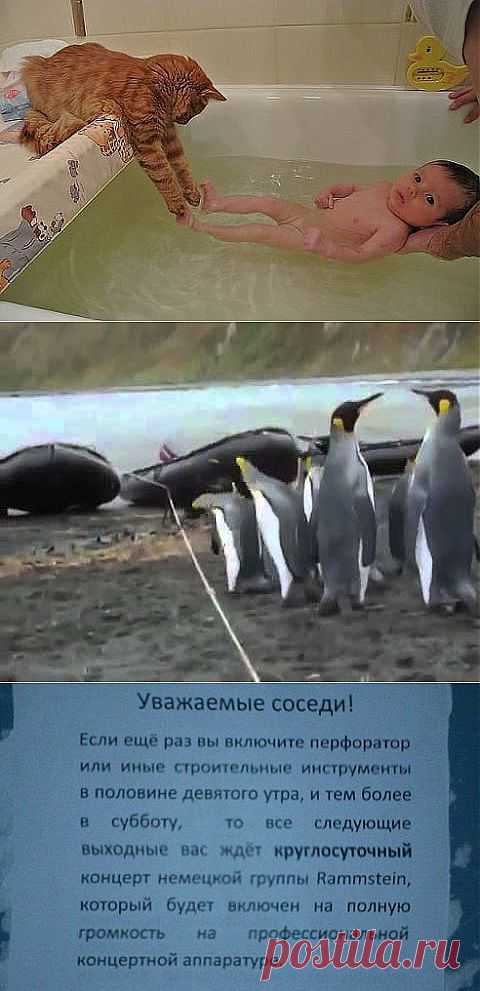 )))