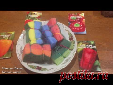 ПО ВАШИМ ПРОСЬБАМ ! ПРОРАЩИВАНИЕ И ЗАКАЛКА СЕМЯН !!!