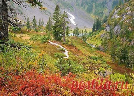Осенние пейзажи на фотографии и анимашках