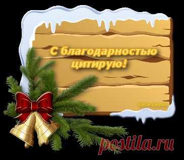 *ПЕРВЫЙ СНЕГ*