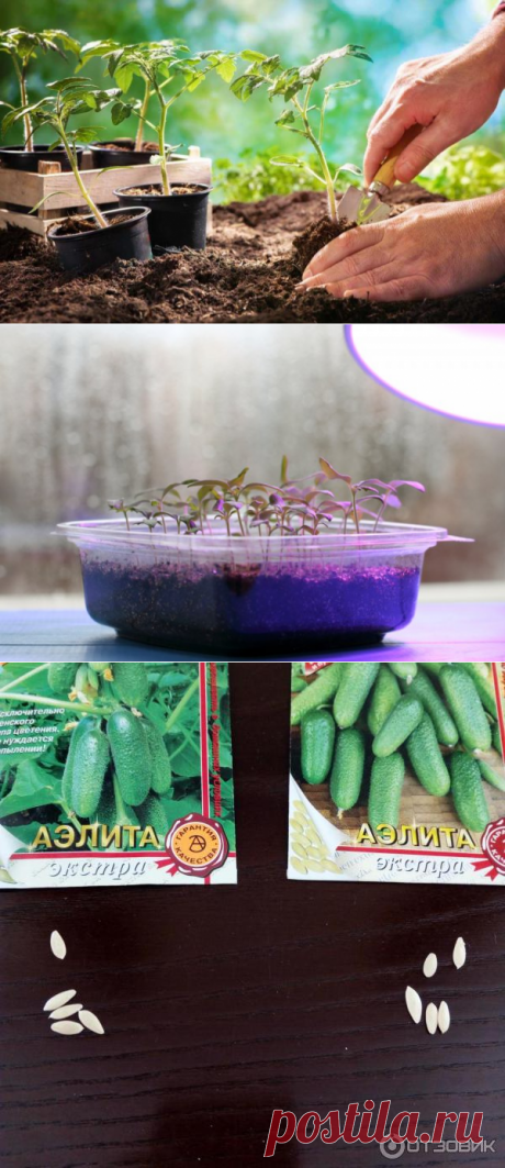 Сундук ПОЛЕЗНОСТЕЙ