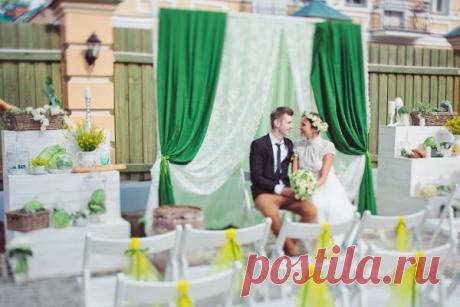 Репетиция оркестра: love-story Тани и Димы - WeddyWood