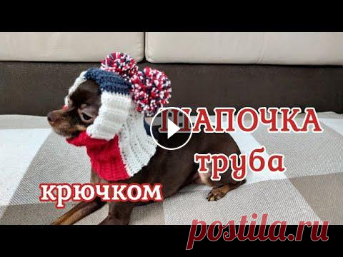 Шапочка труба, вязание крючком, hat for dogs, crochet diy Шапочка труба связанная крючком, мастер класс для начинающих. Для мелких и средних пород собак и кошек. Шапочка труба спицами - https://youtu.be/Cdrjr...