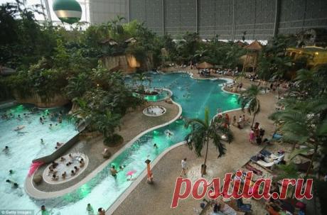 Hawaii in Germany | Animal Photo: Гавайи в Германии --- заброшенный самолет был преобразован в аквапарк с 29000 тропическими растениями и экзотическими птицами; скрытые динамики издают природные звуки тропического леса; комплекс имеет постоянную температуру воздуха 25 C, имеет собственное искусственное солнце, и открыт постоянно; имеет 360 м. в длину, 210 м. в ширину, 107 м. в высоту (выше статуи Свободы); открыт в 2004 г.