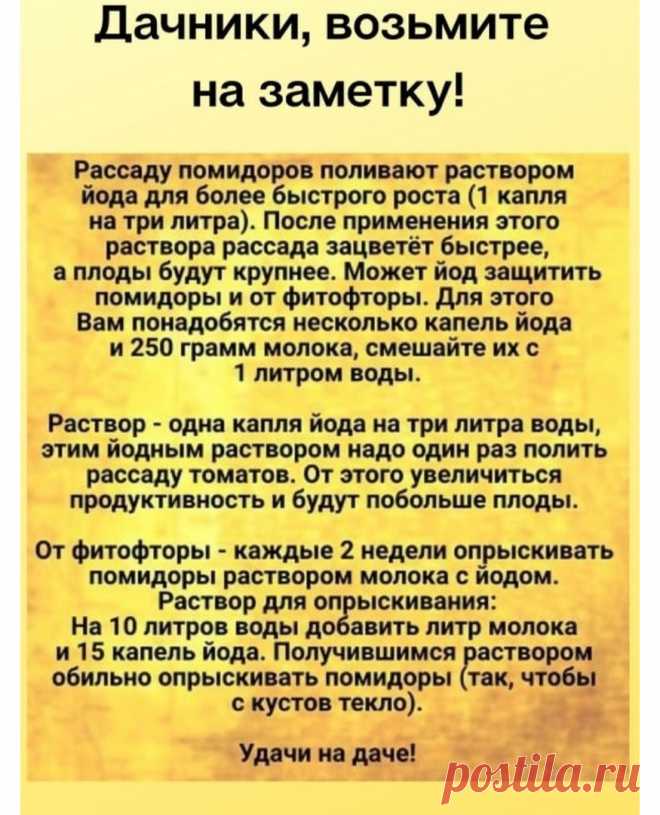 Публикация Садовая фея-дача, сад, огород в профиле Instagram: 