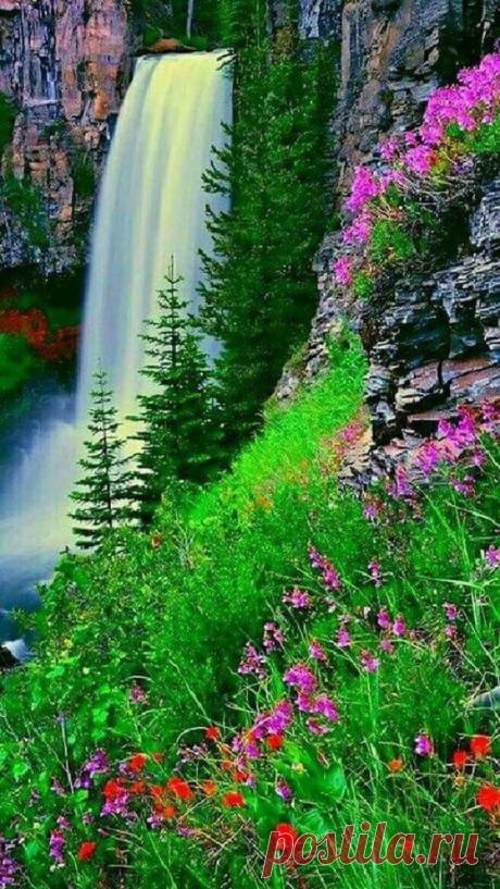 Brah Nature