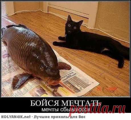 Не бойся мечтать,  
И счастье искать. 
Кто верит в мечты,  
Все сможет найти.   

Ты долго не жди,  
Не сдавайся – ищи.  
И если нашел,  
То крепко держи. ​