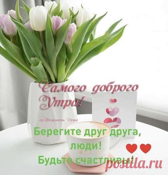Доброе утро всем друзья! Удачного дня! 😊