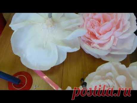 Роза Часть 3