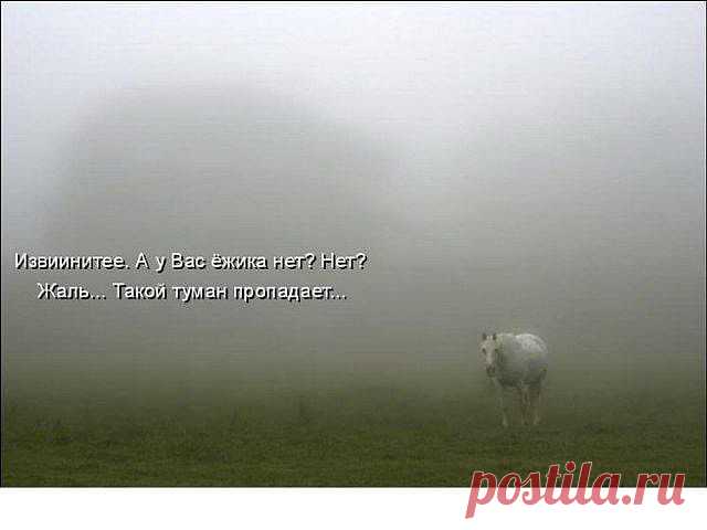 (18) Одноклассники