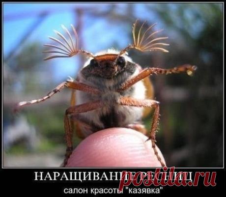 Интересные новости