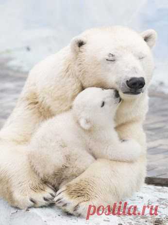 (114) Pinterest