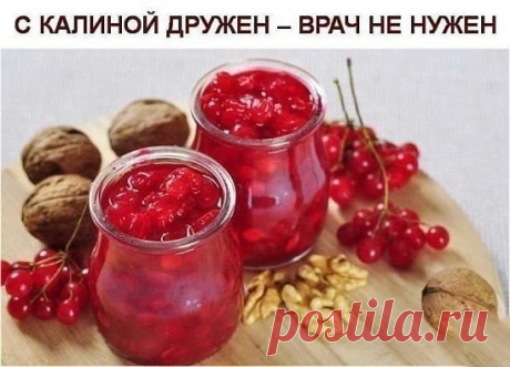 Калина - одна из самых ПОЛЕЗНЫХ ягод в природе.
В калине всё ЦЕЛЕБНО: кора, веточки, цветы, ягоды и сушёные косточки.
Наши предки о лечебных свойствах калины, знали, что ее ягоды улучшают работу сердца, обладают успокаивающим действием.
Витамина С в калине в 1, 5 раза больше чем в лимоне. В ней есть железо, селен, йод, каротин, фосфор.
С мёдом калину назначали при простудных заболеваниях.
Чай из калины пили при гнойничковых заболеваниях кожи, при воспалении десен.
Отвар из корней и коры давали