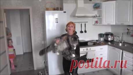 Вот это котик! Настоящий богатырь!)))