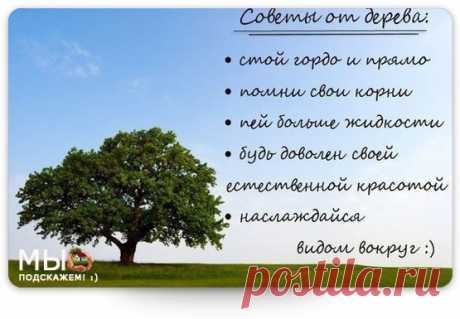 Да воссияет мощь победная наша! Да воспылает огнь любви нашей Великой Магнитной! Да возгорится пламя мудрости нашей всепроникающей, Свет истины несущей! Величью жизни – СЛАВА!СЛАВА! СЛАВА! МЫ СОЗИДАЕМ МИР НОВЫЙ--БЕЗ НЕНАВИСТИ,БЕЗ ВРАЖДЫ,БЕЗ ВОЙН И БЕЗ ПРЕДАТЕЛЬСТВА. МЫ ЖИВЕМ С БОЛЬШИМ ЧУВСТВОМ МАГНИТНОЙ ЛЮБВИ И МАГНИТНАЯ ЛЮБОВЬ ВЕДЕТ НАС САМА ПРАВИЛЬНОМУ ПУТИ.