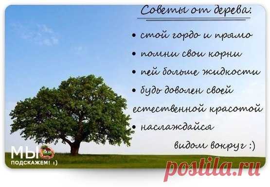 Да воссияет мощь победная наша! Да воспылает огнь любви нашей Великой Магнитной! Да возгорится пламя мудрости нашей всепроникающей, Свет истины несущей! Величью жизни – СЛАВА!СЛАВА! СЛАВА! МЫ СОЗИДАЕМ МИР НОВЫЙ--БЕЗ НЕНАВИСТИ,БЕЗ ВРАЖДЫ,БЕЗ ВОЙН И БЕЗ ПРЕДАТЕЛЬСТВА. МЫ ЖИВЕМ С БОЛЬШИМ ЧУВСТВОМ МАГНИТНОЙ ЛЮБВИ И МАГНИТНАЯ ЛЮБОВЬ ВЕДЕТ НАС САМА ПРАВИЛЬНОМУ ПУТИ.