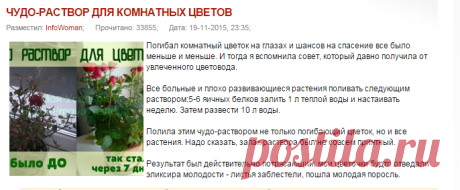 ЧУДО-РАСТВОР ДЛЯ КОМНАТНЫХ ЦВЕТОВ