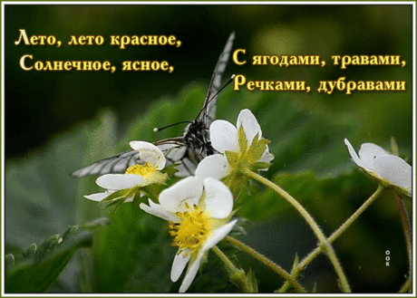 Открытка лето с надписью