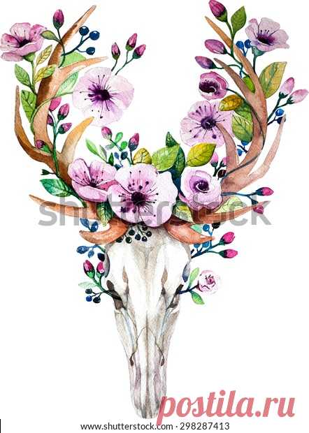 Bright Watercolor Deer Skull Flowers Deers Stock Illustration 298287413 315